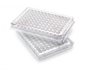 MultiScreen-BV Filter Plate, 1.2 m, clear, non-sterile MABVN1250
