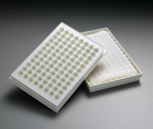 MultiScreenHTS BV Filter Plate, 1.2 m, opaque, non-sterile MSBVN1B50