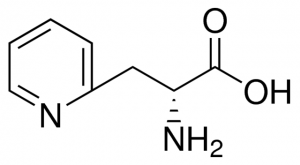 3-(2-Pyridyl)-D-alanine 95718-1G-F