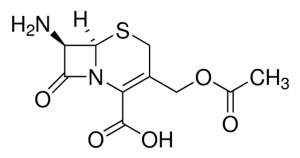 7-Aminocephalosporanic acid 