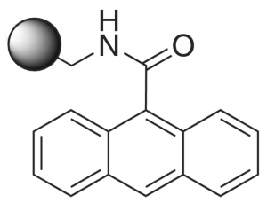 9-Anthracenecarboxamide, polymer bound 677868-5G