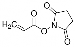 Acrylic acid N-hydroxysuccinimide ester A8060-1G