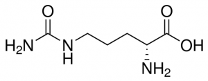 D-Citrulline 27505-500MG-F