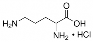 DL-Ornithine monohydrochloride 