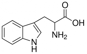 DL-Tryptophan 