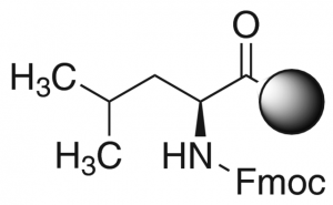 Fmoc-Leu-Wang resin 