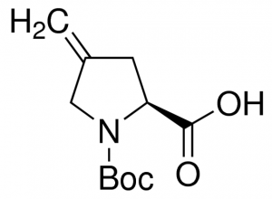N-Boc-4-methylene-L-proline 717045-500MG