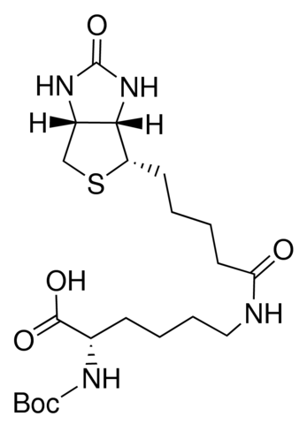 N-Boc-biocytin 15083-500MG