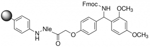 Rink amide (aminomethyl)polystyrene with Norleucine internal standard 