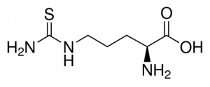 Thio-L-citrulline 