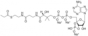 03:0 Coenzyme A 870703P-5MG