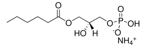 06:0 Lyso PA 857119C-25MG