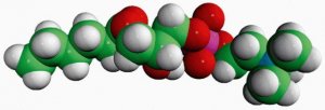 06:0 Lyso PC 855175C-25MG