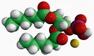 06:0 PA 830841C-10MG
