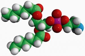06:0 PE 850697C-25MG