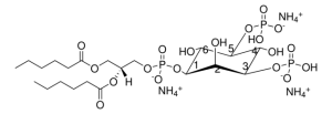 06:0 PI(3,5)P2 