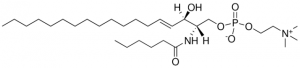 06:0 SM (d18:1/6:0) 860582P-5MG
