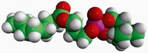 08:0 Lyso PC 855275P-25MG