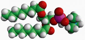 08:0 PC 850315C-25MG