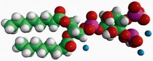 08:0 PI(3,4)P2 