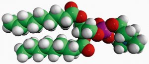 09:0 PC 850320P-25MG