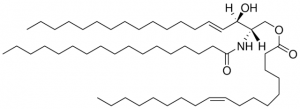 1-O-Acyl-Ceramide 860526P-5MG