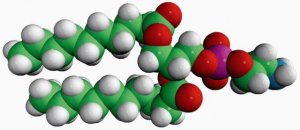 10:0 PE 850700P-25MG