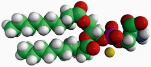 10:0 PS 840036P-10MG