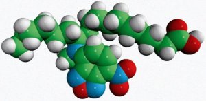 12-NBD Stearate 810110P-1MG