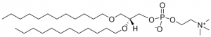 12:0 Diether PC 999994P-10MG