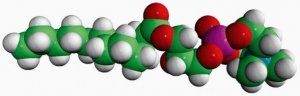 12:0 Lyso PC 855475C-25MG