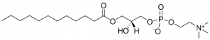 12:0 Lyso PC 855475C-25MG