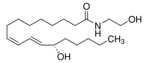 13(S)HODE Ethanolamide 