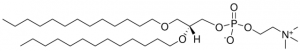 13:0 Diether PC 999988P-10MG