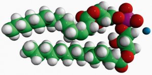 14:0 BMP (S,R) 
