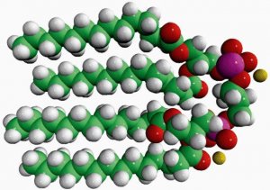14:0 Cardiolipin (sodium salt) 