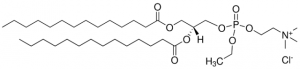 14:0 EPC (Cl Salt) 