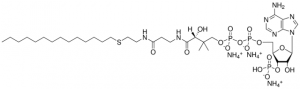 14:0 Ether Coenzyme A 870735P-5MG