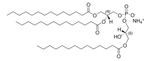 14:0 Hemi BMP (S,R) 857132C-5MG