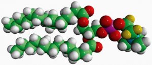 14:0 PC-d4 860341P-10MG