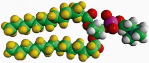 14:0 PC-d54 