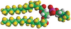 14:0 PC-d63 860347P-10MG
