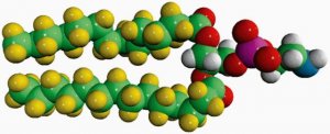 14:0 PE-d54 