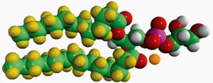 14:0 PG-d54 