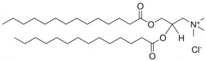 14:0 TAP 890860P-200MG