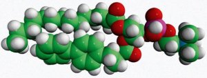 14:0-04:0(biphenyl) PC (TBBPC) 850344P-10MG