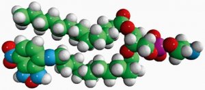 14:0-12:0 NBD PE 810152C-1MG