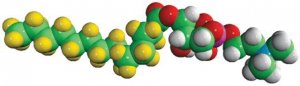 14:0-d27 Lyso PC 860396P-10MG