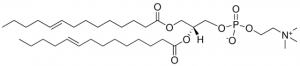 14:1 (9-Trans) PC 850347C-25MG
