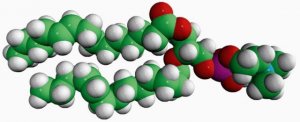 14:1 (9-Trans) PC 850347C-25MG